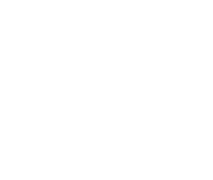 LANZA-LOGO-300x254